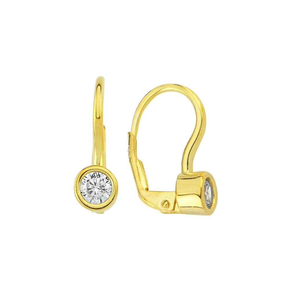 Zarif Lever-Back Altın Küpe