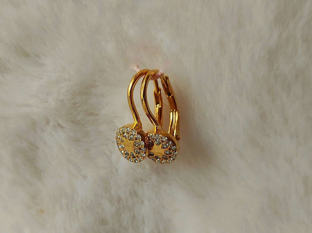 Halka Şeklinde Lever-Back Altın Küpe