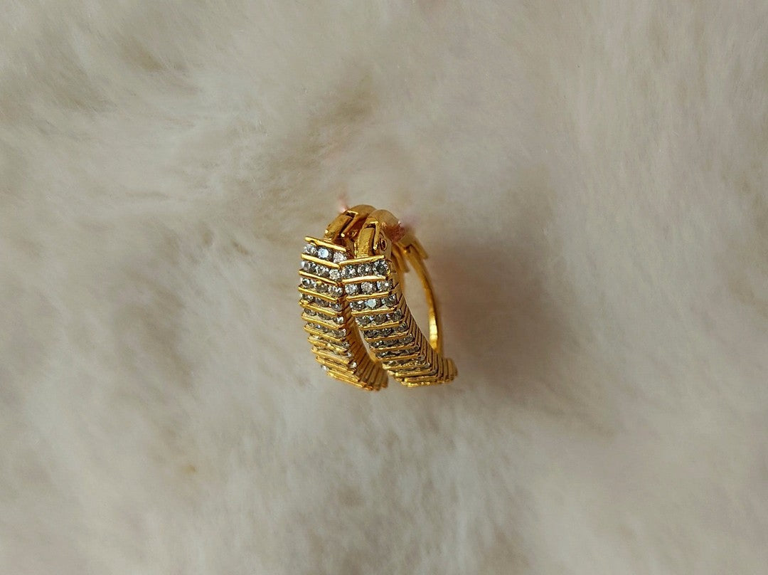 Sıra Taşlı Lever-Back Altın Küpe