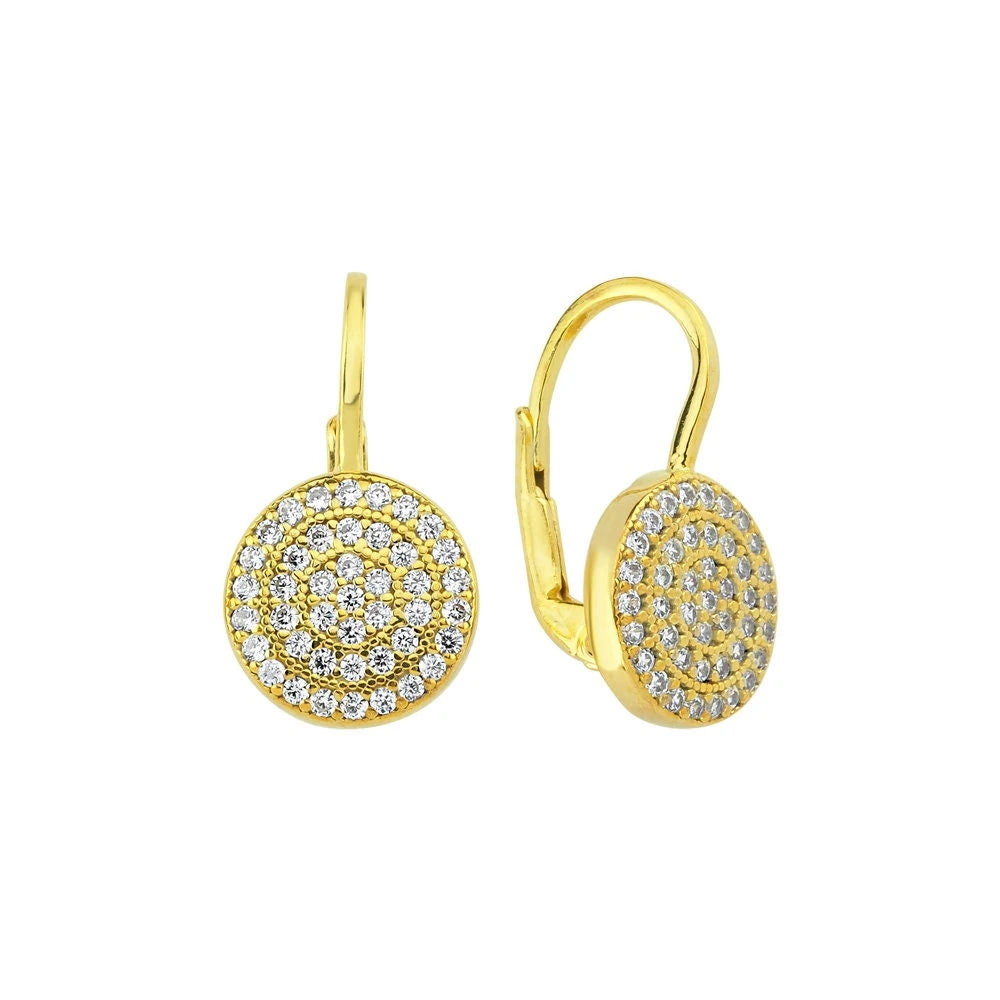 Şık Lever-Back Altın Küpe