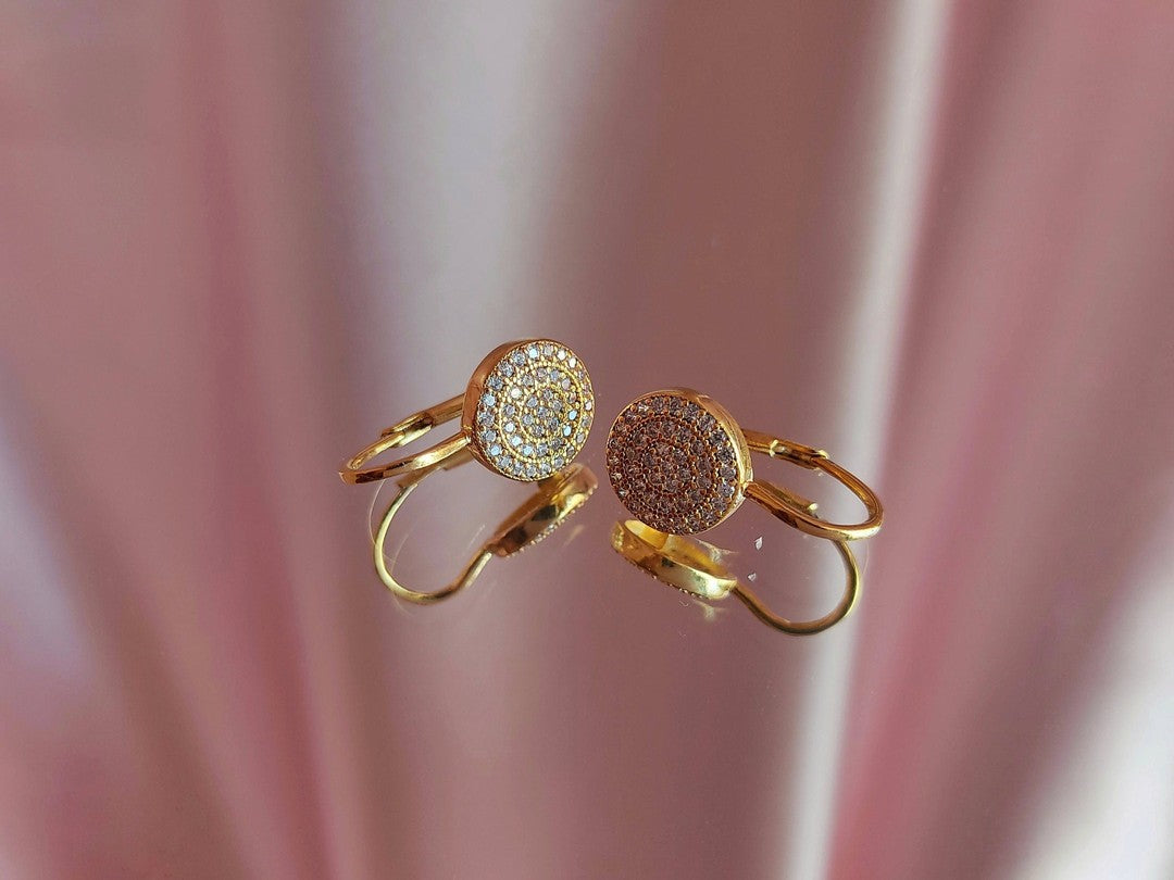 Şık Lever-Back Altın Küpe